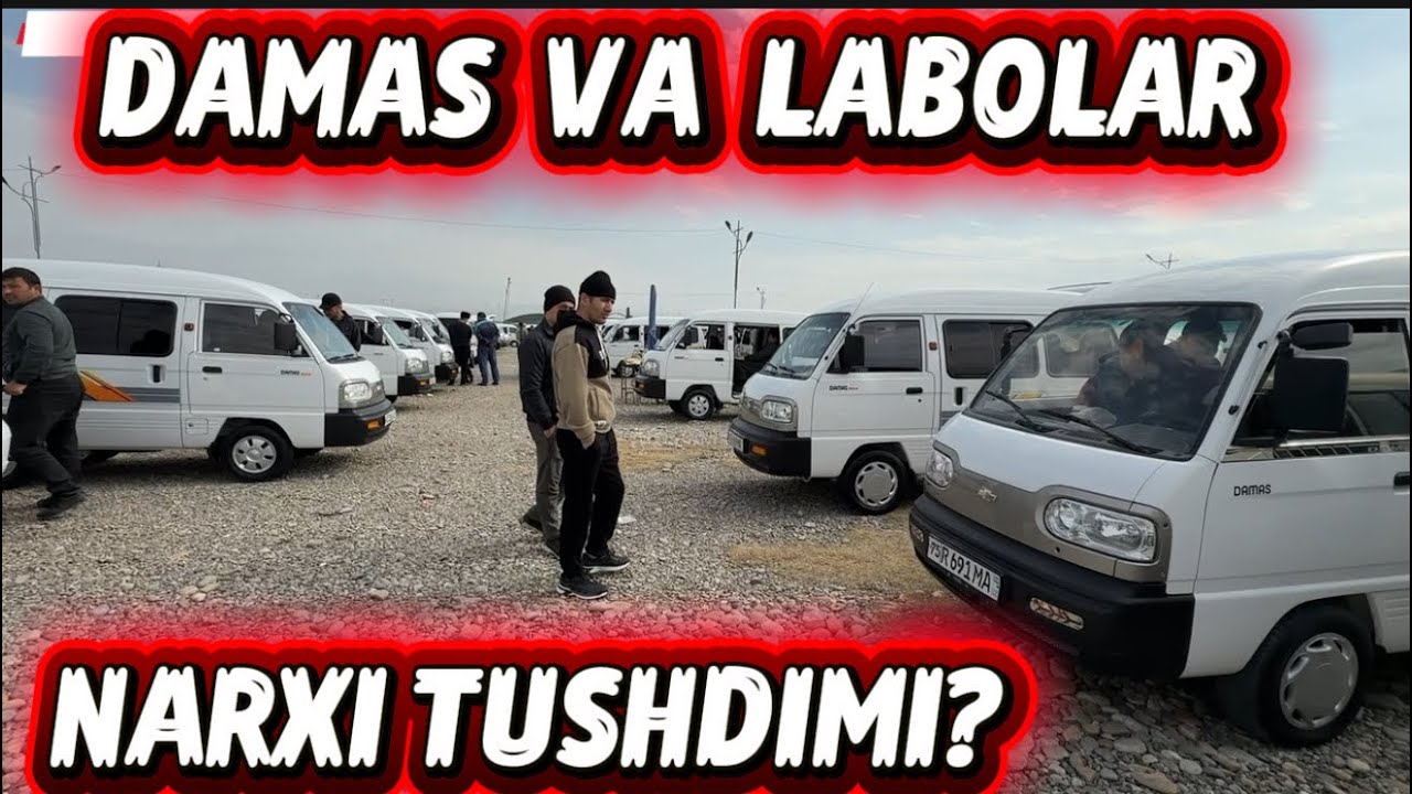AVTO NARXLARI TUSHDIMI 15.02.2026y