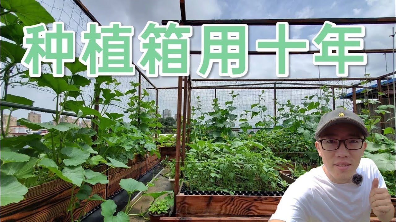 我的屋顶木制种植箱制作思路分享，透气美观耐用，种菜种花赏心悦目，种植床