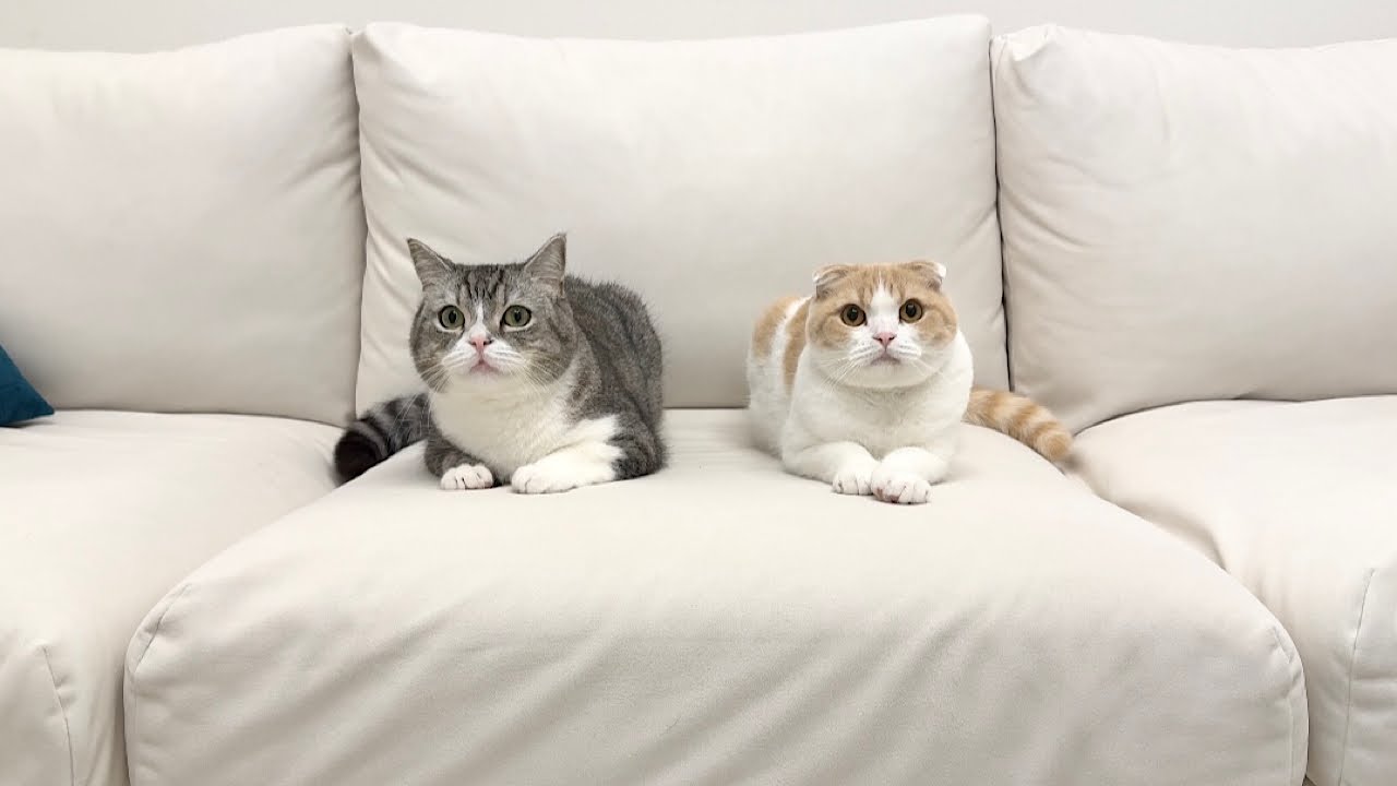 今後の活動について。