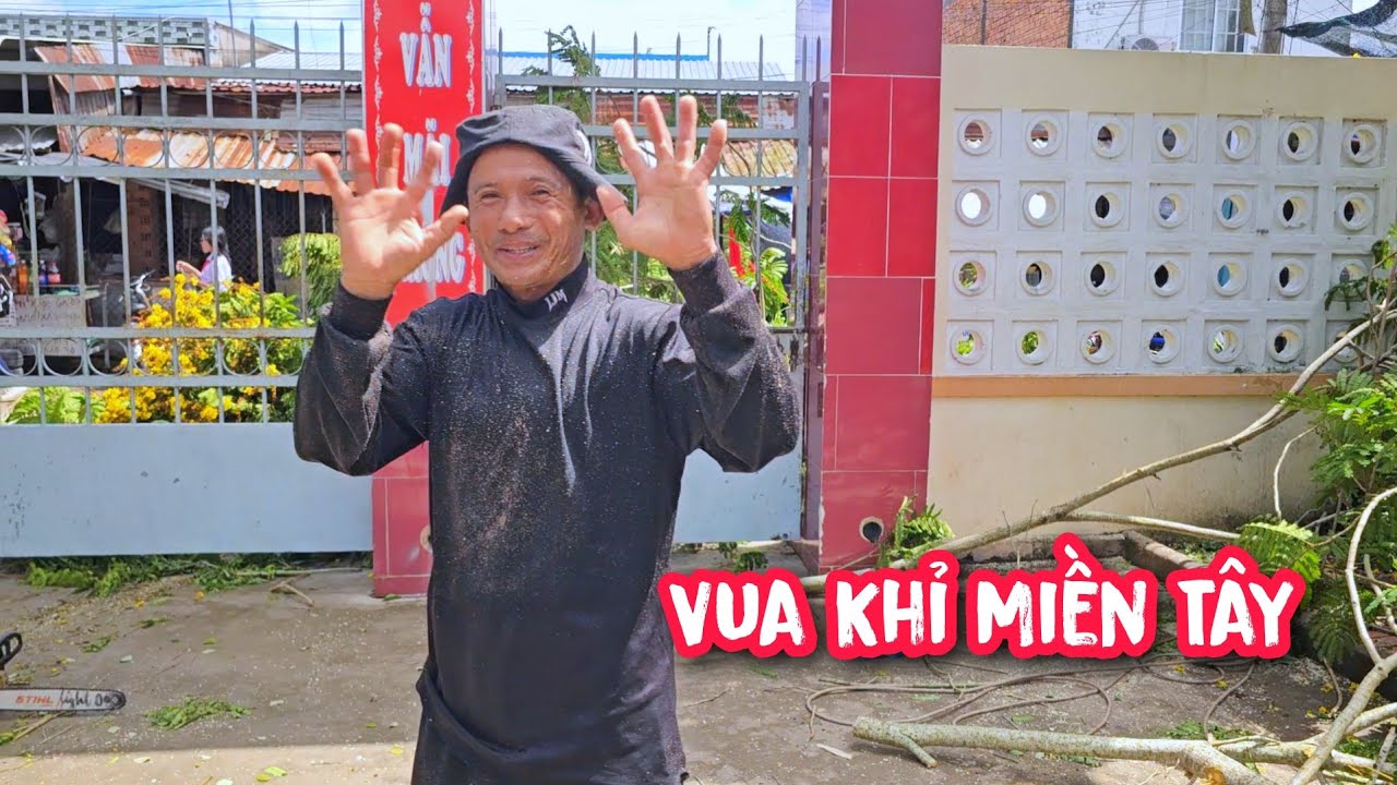 Kĩ thuật cưa cây ở chổ đông người của Vua Khỉ Miền Tây (Phần 3/3).