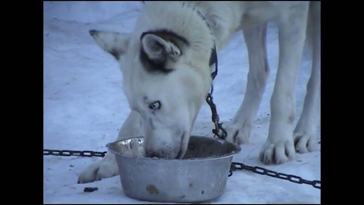 2004 - Forberedelser til trening med Team Norway