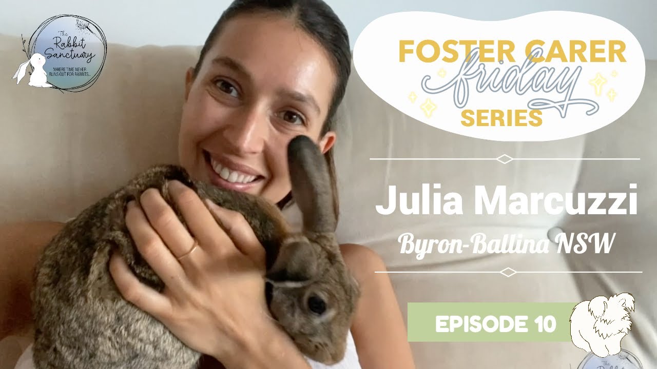 Julia Marcuzzi On How Fostering Rabbits Changed Her Life | Foster Carer Friday Series | Episode 10
