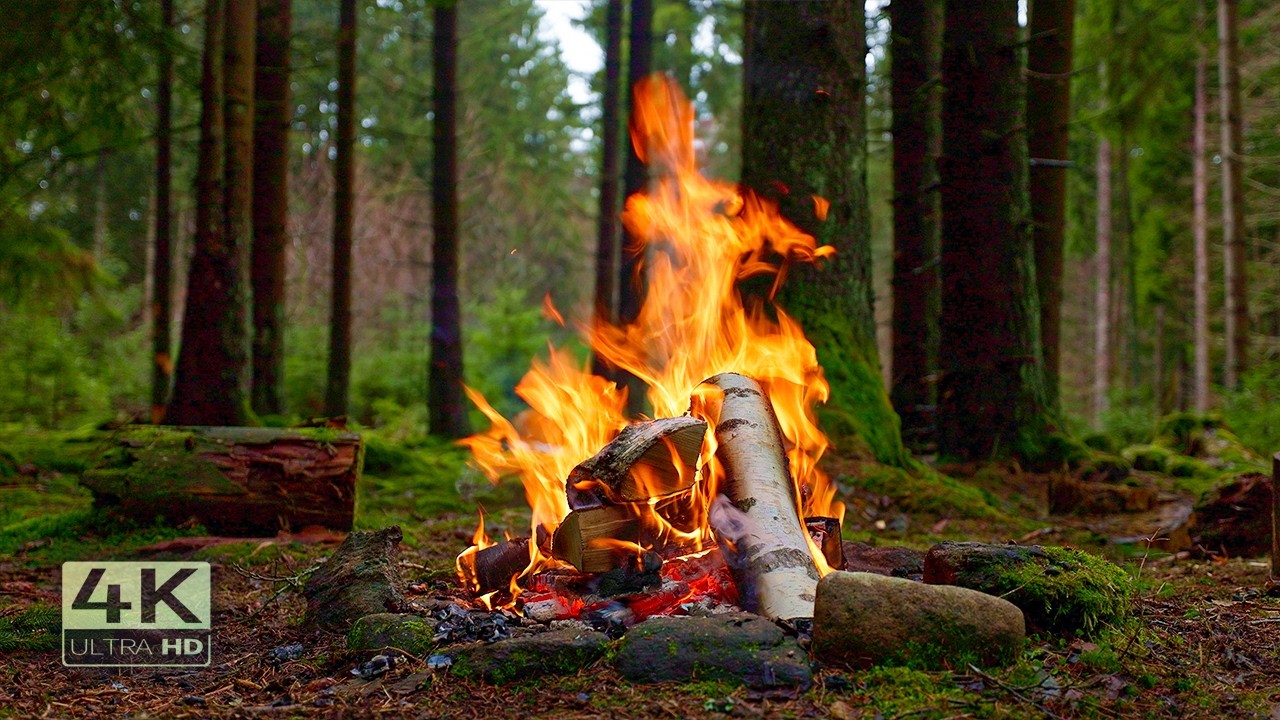 4K 📺 Реалистичный костер в глухом лесу 🌲Без ИИ