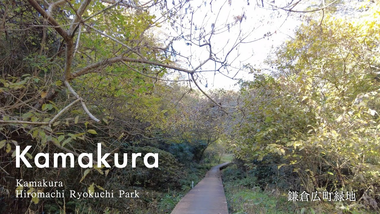 Hiking in Kamakura Hiromachi Ryokuchi Park | Autumn 2025 | Kamakura vlog