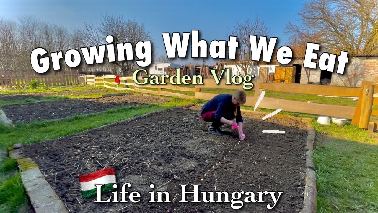 Выращивание собственных продуктов питания 🌱 | Садовый видеоблог, Венгрия