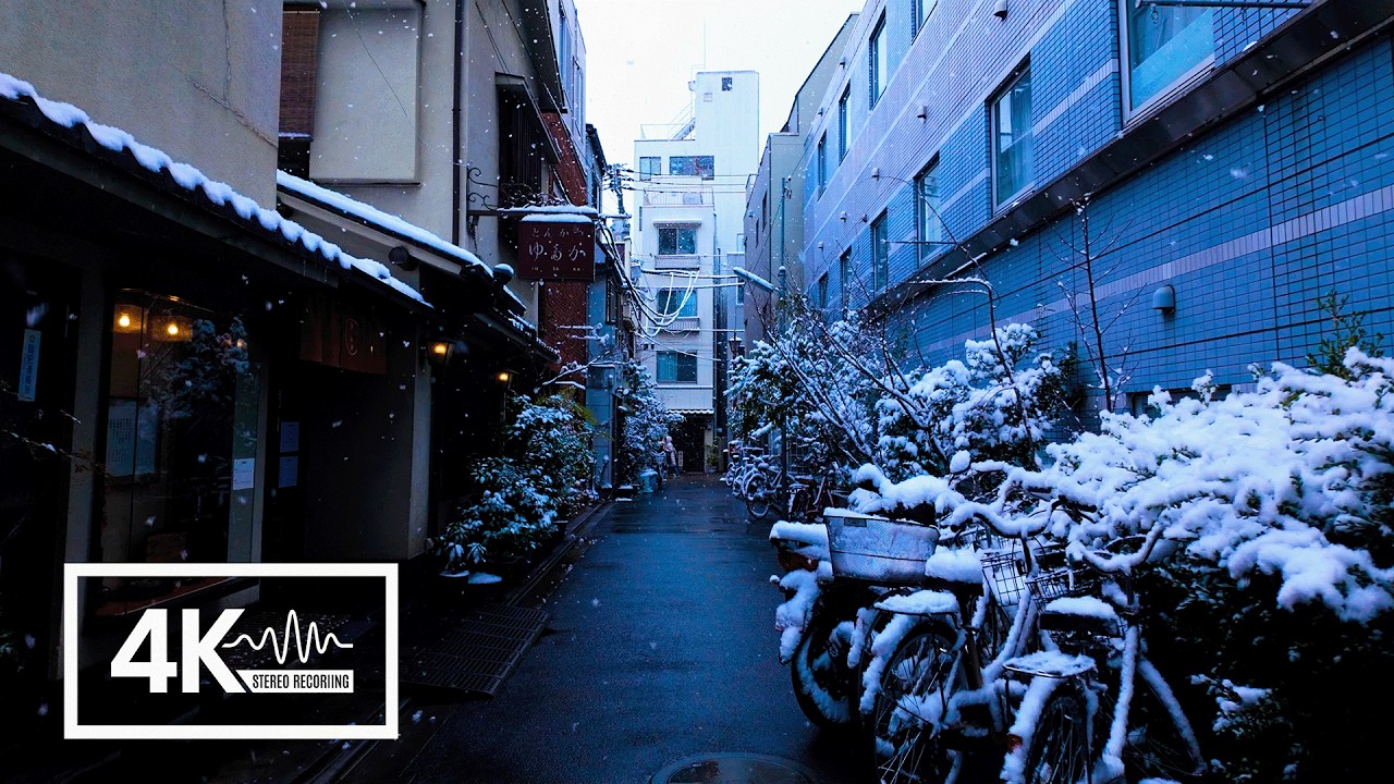 【4K ASMR】Rare Tokyo Snowfall ❄️ | Asakusa Winter Walking Tour