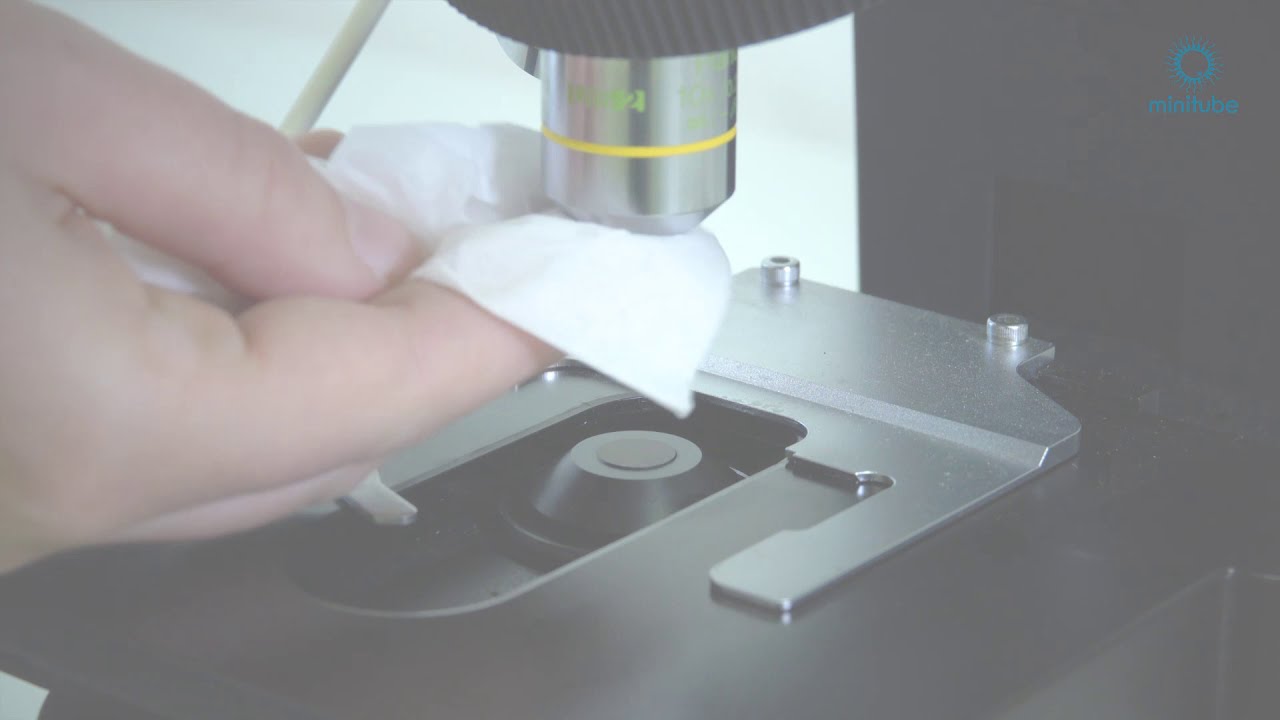 How to adjust an Olympus microscope