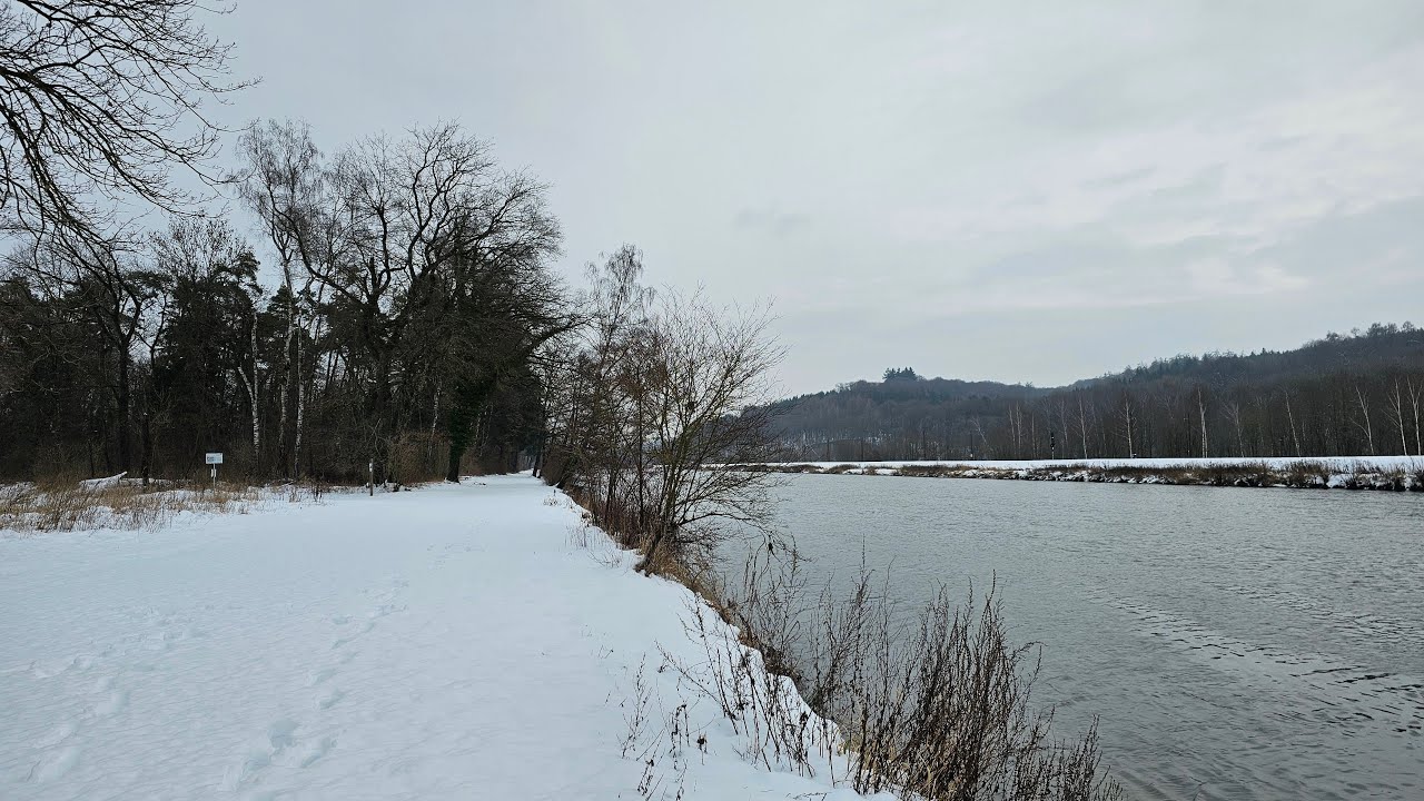Winter by Danube, Trains by Danube