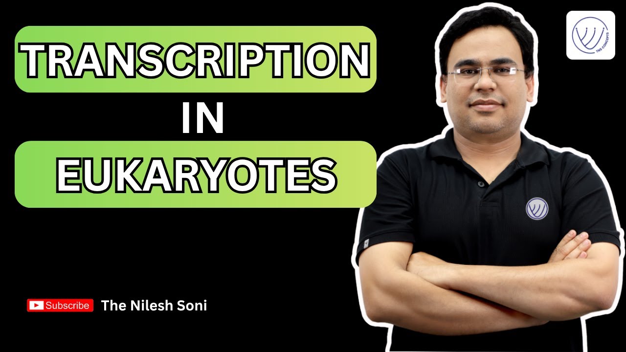 Eukaryotic Transcription Part I | mRNA Synthesis | TNS CONCEPTS | CSIR NET DEC 2025