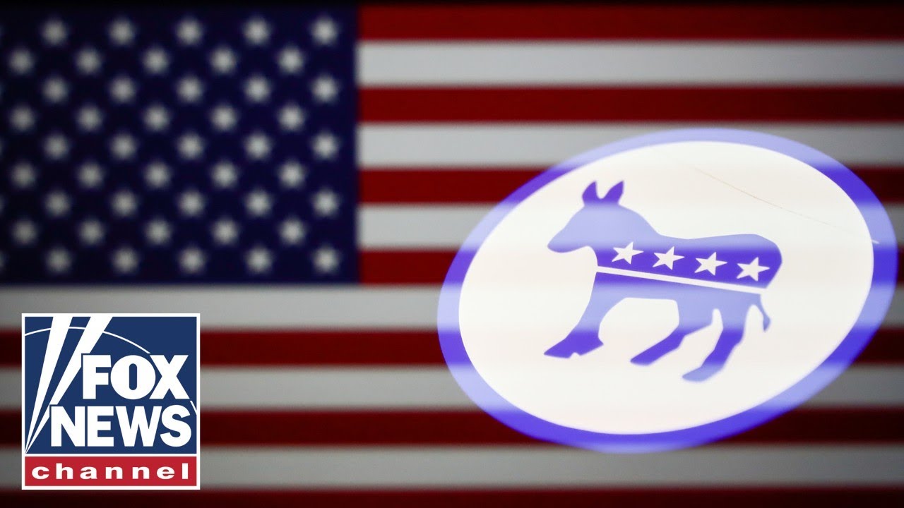 There's 'no logic' to this Democrat position: Ari Fleischer