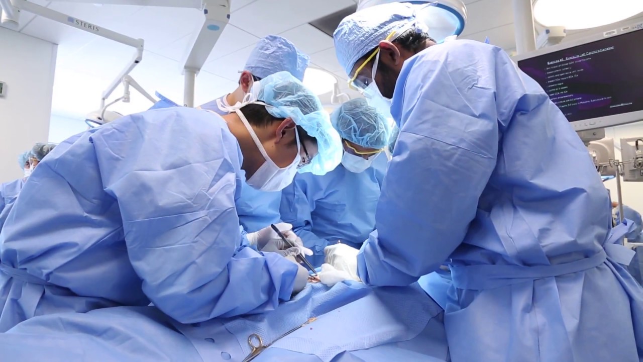 Pre-Intern Training for Vascular Residents 2017 - 