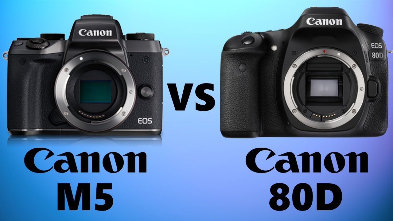 Canon EOS M5 vs Canon 80D