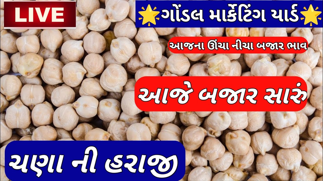 નવા ચણા ના બજાર ભાવ /ચણાના બજાર ભાવ / ગોંડલ ચણાના બજાર ભાવ /Gondal marketing yard