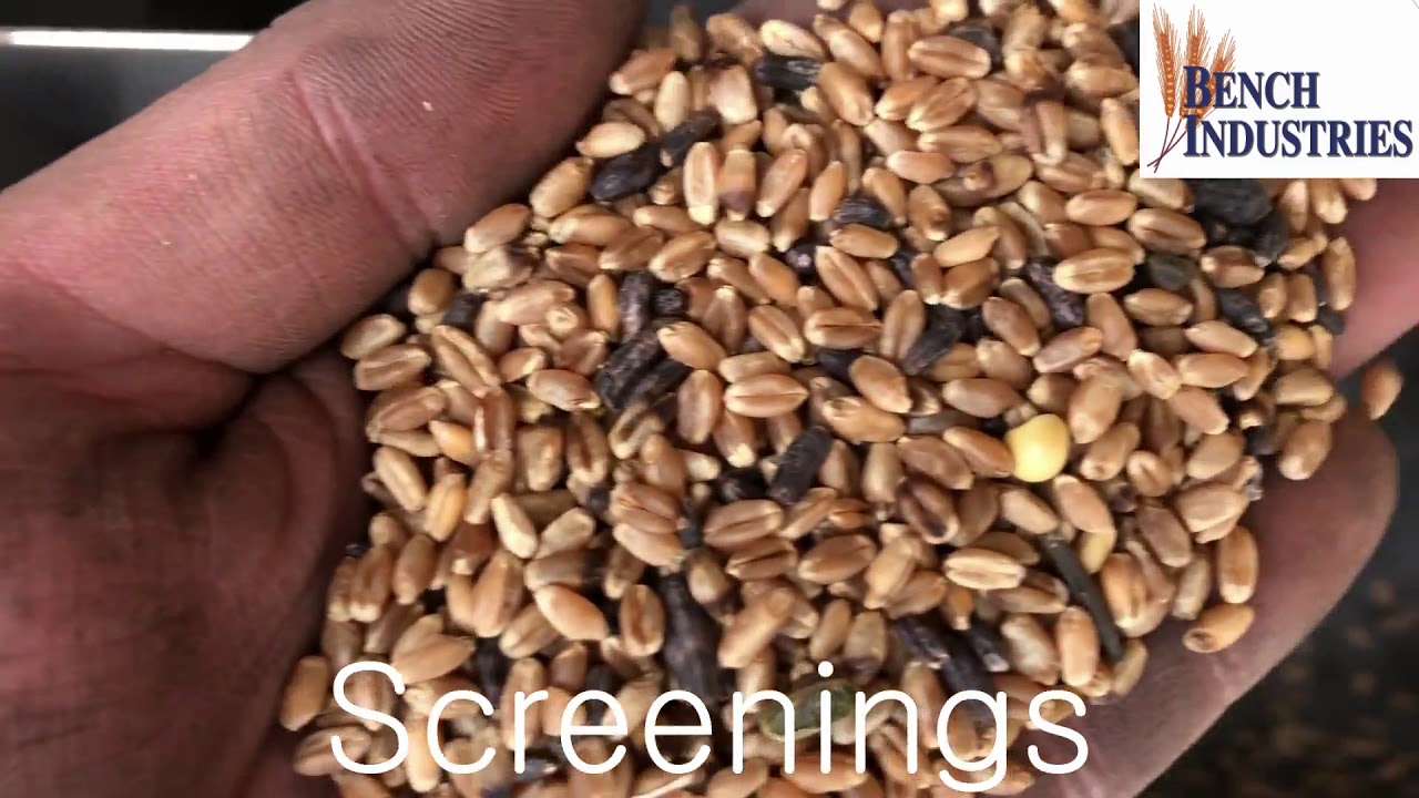 Bench Industries Portable Color Sorter