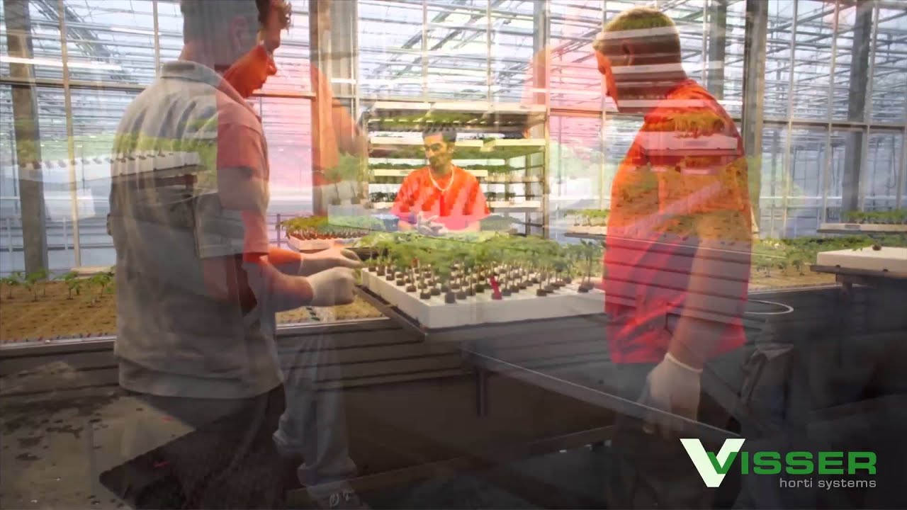 Visser Horti Systems - Planting line for Rockwool Blocks - Beekenkamp