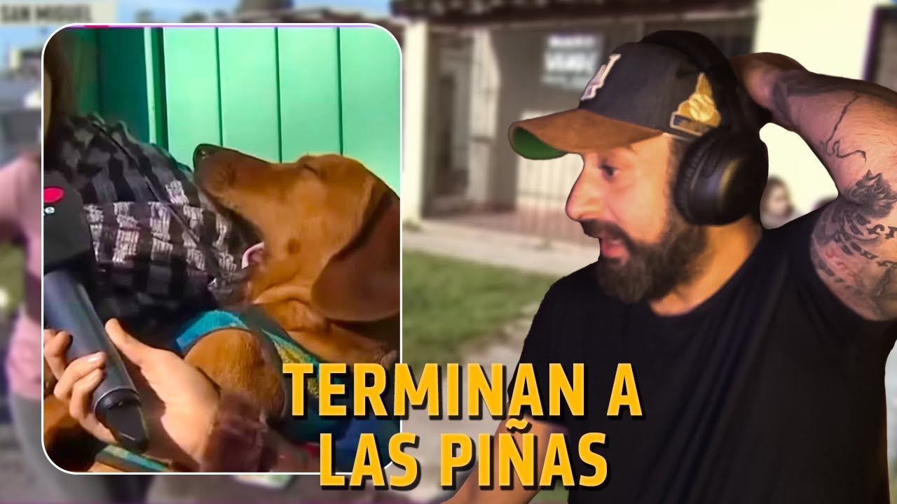 Se robaron a Felipe? | Vecinos en Conflicto