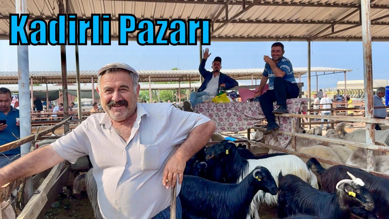 PAZARDA SON GÜN KURBANLIK FİYATLARI 2025