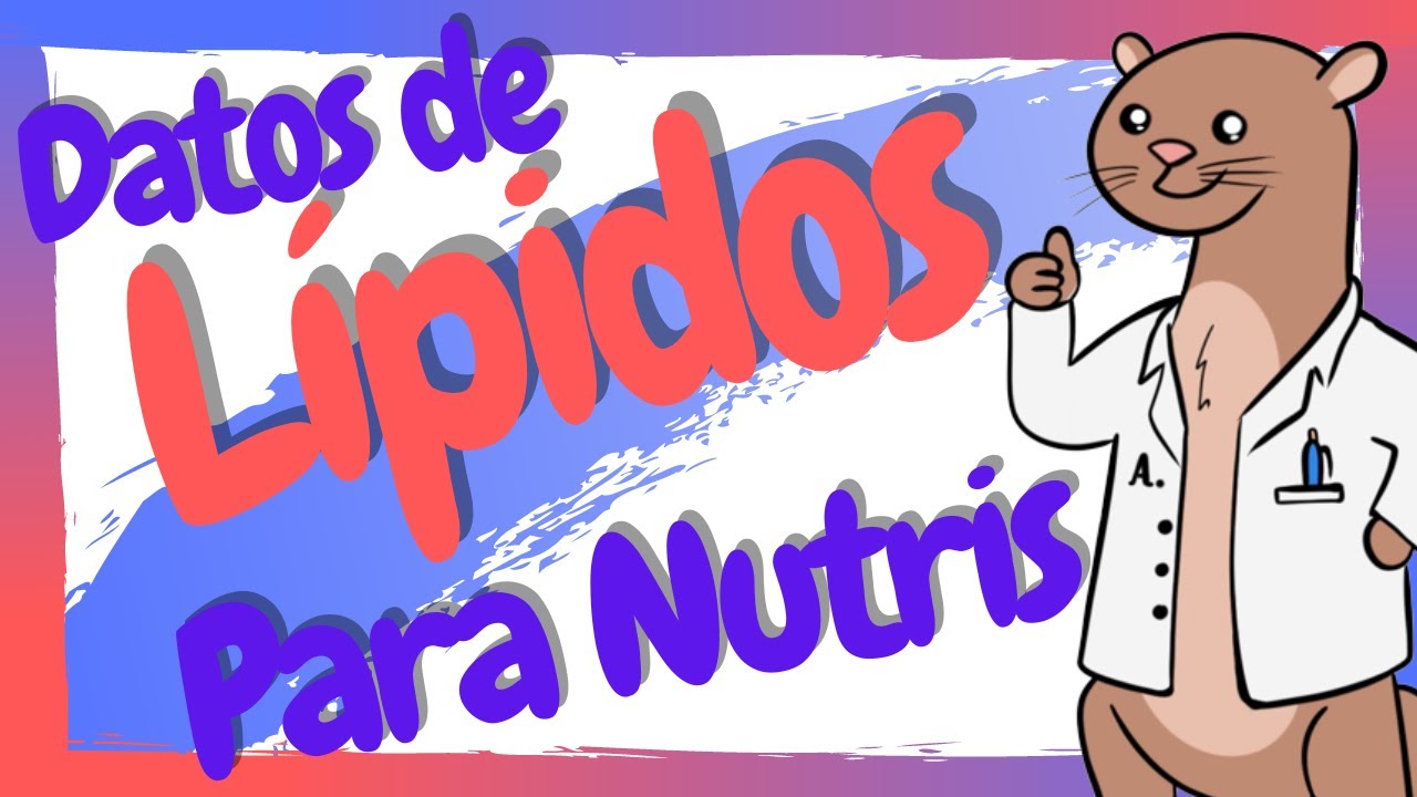 ¿Qué son los Lípidos? Estructura y función en Nutrición / Grasas en Nutrición