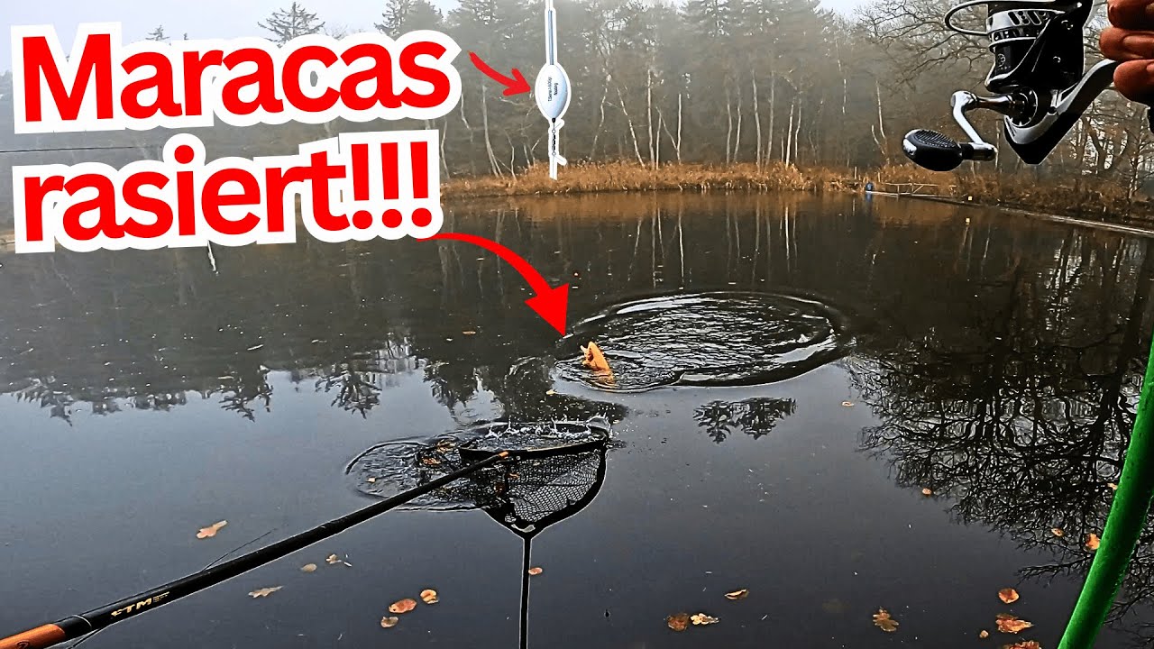Erst Geduld, dann Vollgas! Forellen-Event am Forellensee 🎣Angelteich Rutenmühle +Gewinnspiel