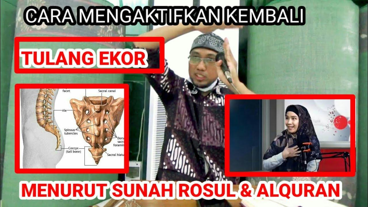 Cara mengaktifkan tulang ekor menurut Alquran