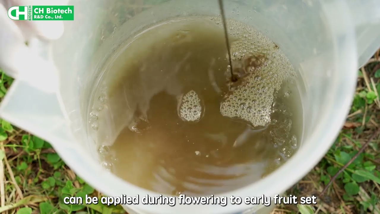 Homeostatic Systemins on Fruit Tree Crops: Sweet Peach - Full