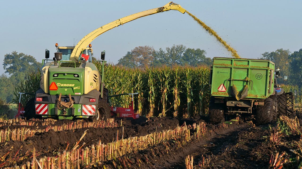 Modderen in de mais! Krone Big X 530 / Mais silage in the mud / Bijker Nijeveen