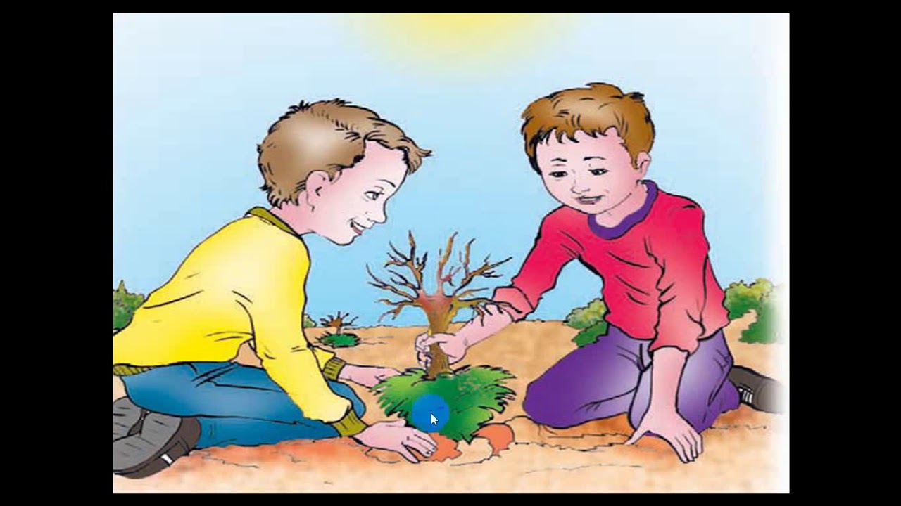 Texte  Le respect des arbres