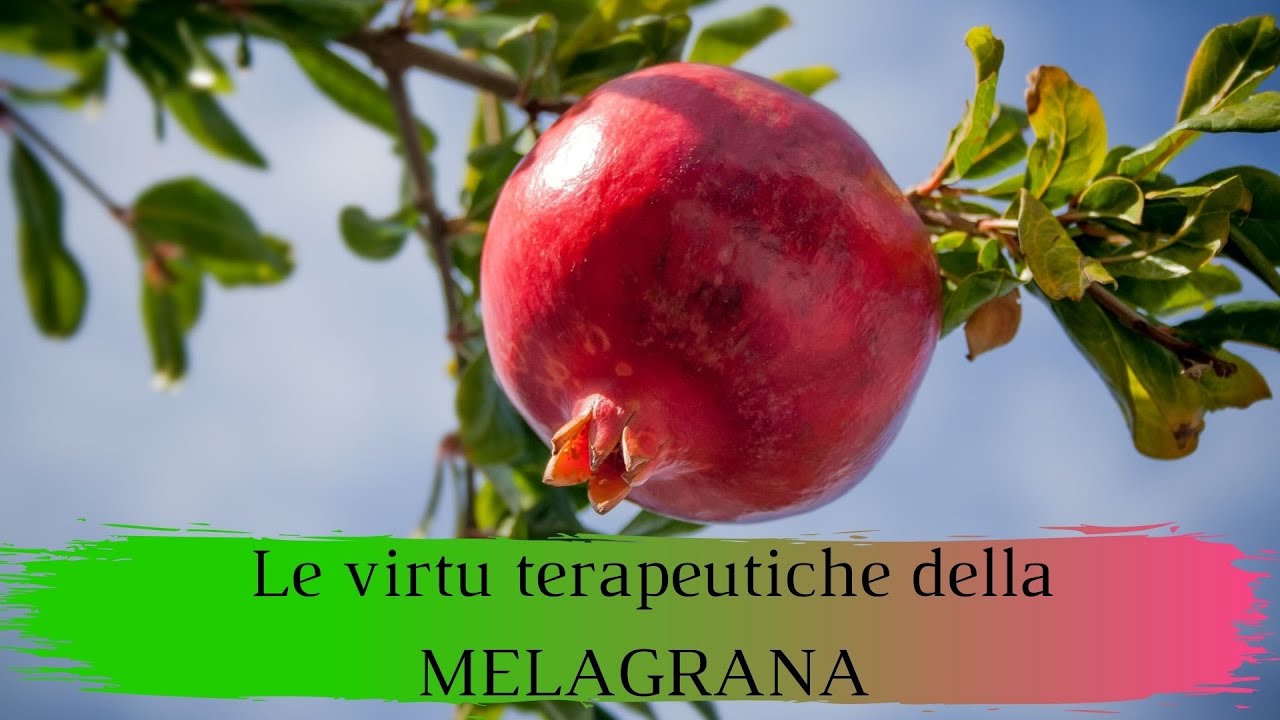Le virtu terapeutiche del melograno