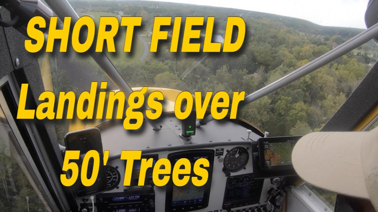 SHORT FIELD LANDINGS OVER 50 ft TREES..Aviat Husky