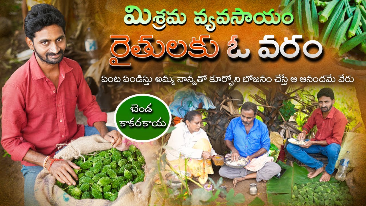 మిశ్రమ వ్యవసాయం - రైతులకు ఓ వరం || Mixed farming Benifits ||