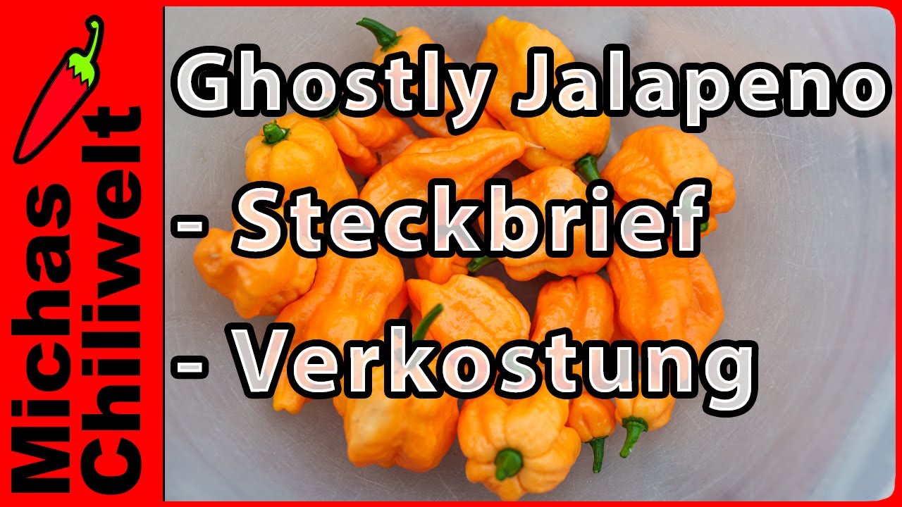 Ghostly Jalapeño  |  Steckbrief und Verkostung  |  Superhots  |  Chili  |  Scharf |  Jalapeno