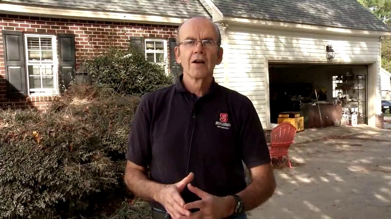 After a Flood: Avoiding Pest Problems