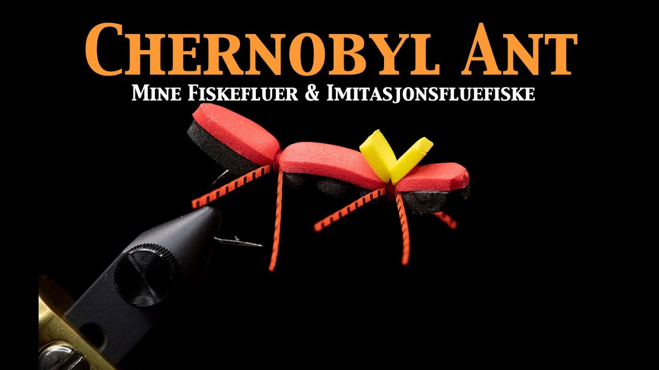 Chernobyl Ant. Mine fiskefluer, fluefiske, tørrflue, nymfe og imitasjonsfluefiske