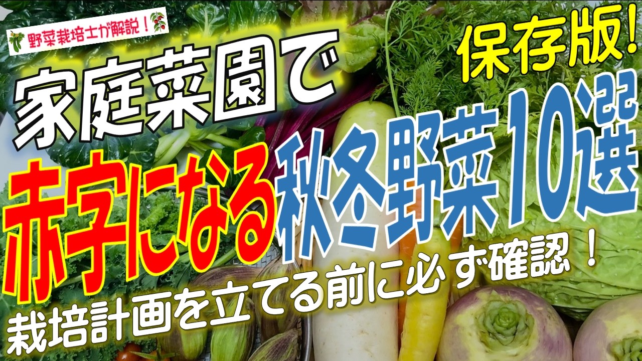 【家庭菜園】節約にならない？育てると赤字になる野菜10選