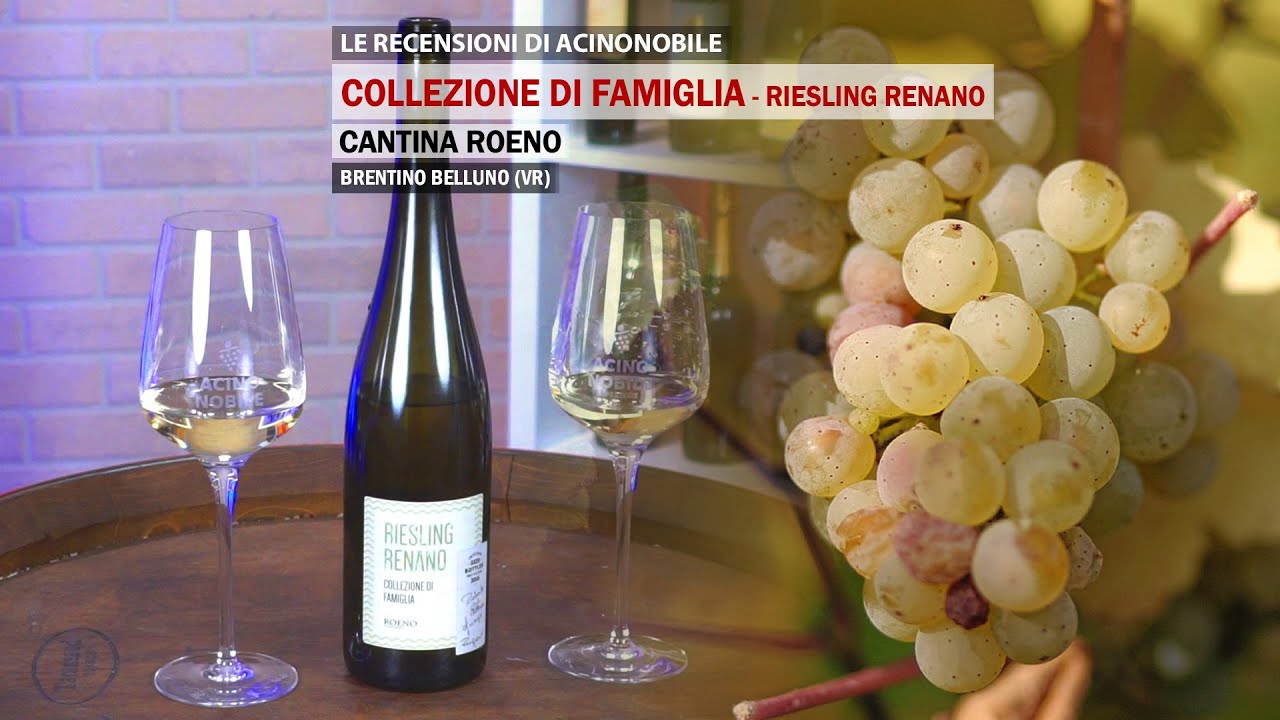 Cantina Roeno | Riesling Renano | Tre Bicchieri Gambero Rosso 2021 | Collezione di Famiglia