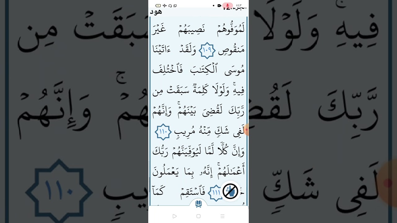 سورة هود صفحة (٢٣٤)
