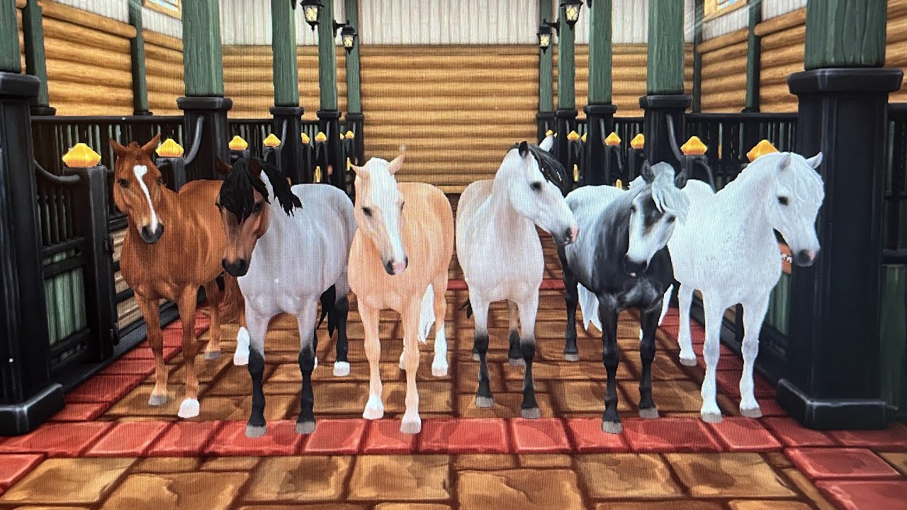 En.. to… tre…. Syv?! | Dansk star stable online