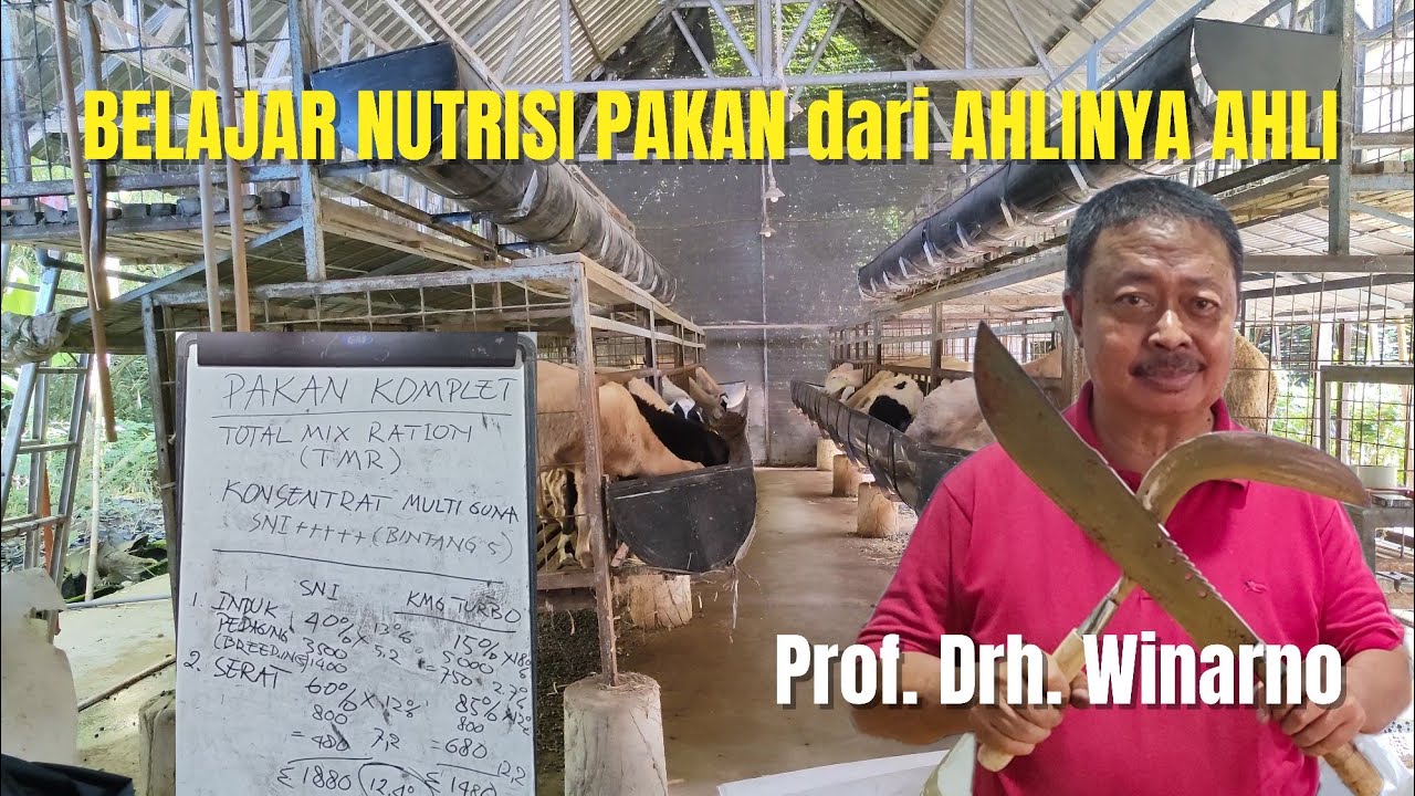 BERGURU MEMBUAT PAKAN KOMPLIT dari AHLINYA LANGSUNG‼️#part1