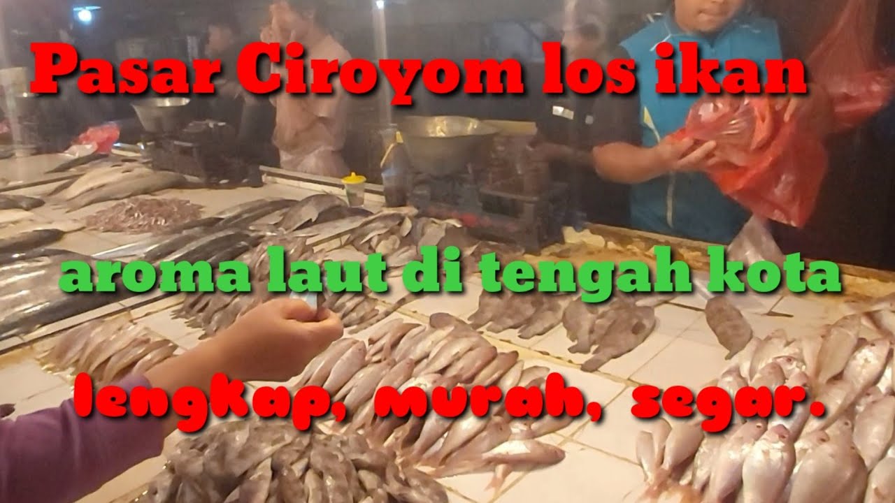 Pasar ciroyom bandung los kusus ikan