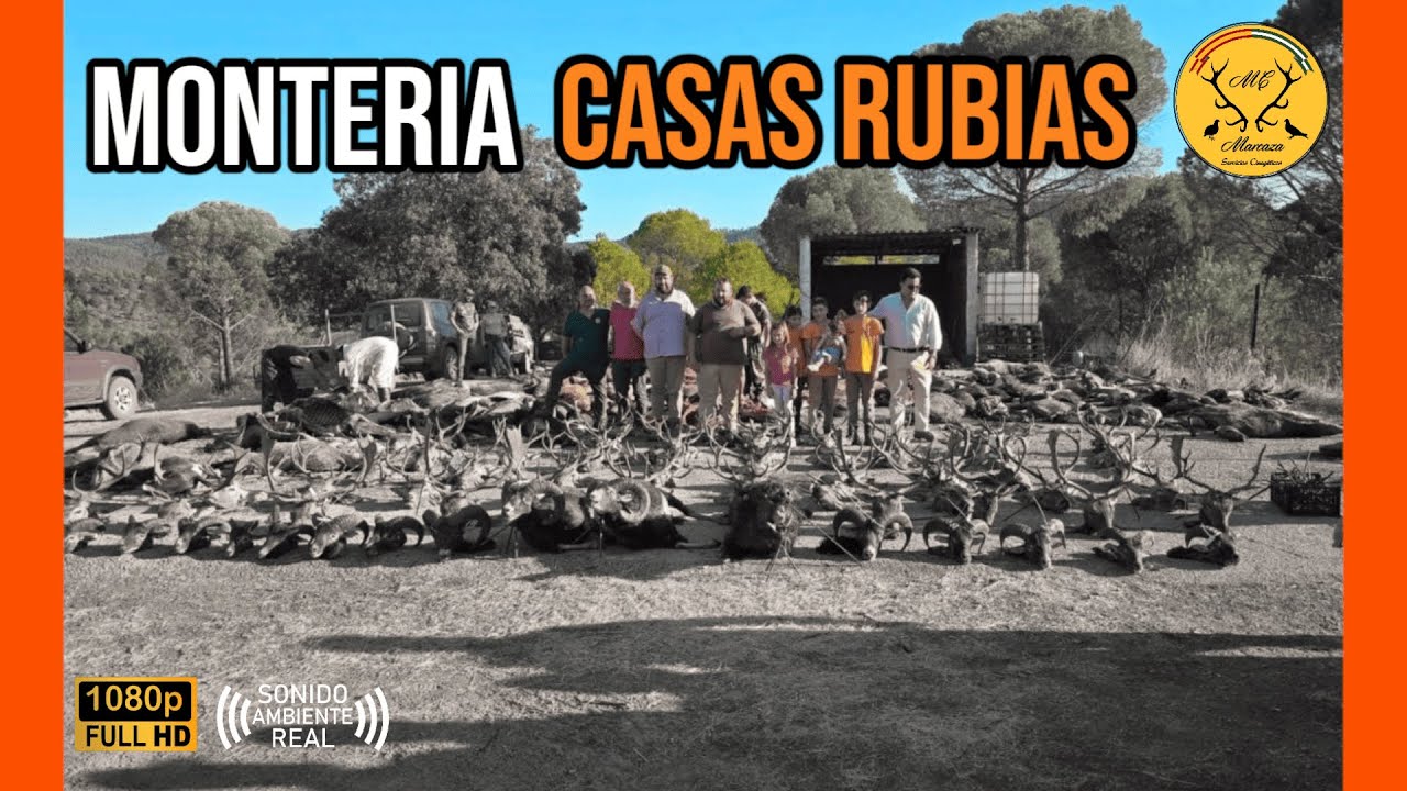 MONTERIA CASAS RUBIAS 2025 | SERVICIOS CINEG&Eacute;TICOS MARCAZA #286