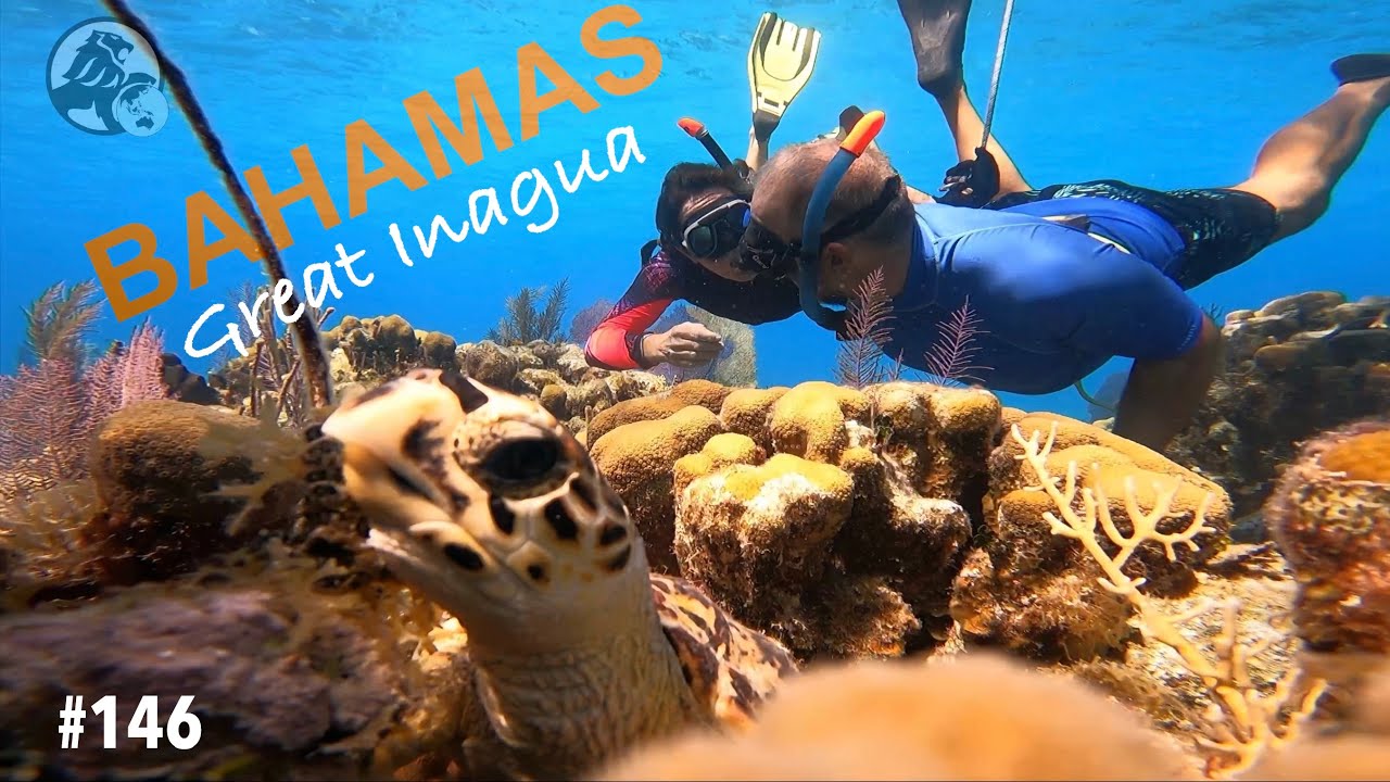 BAHAMAS, nous y sommes ! Quelques formalit&eacute;s d&rsquo;entr&eacute;e, puis &agrave; nous la libert&eacute; !
