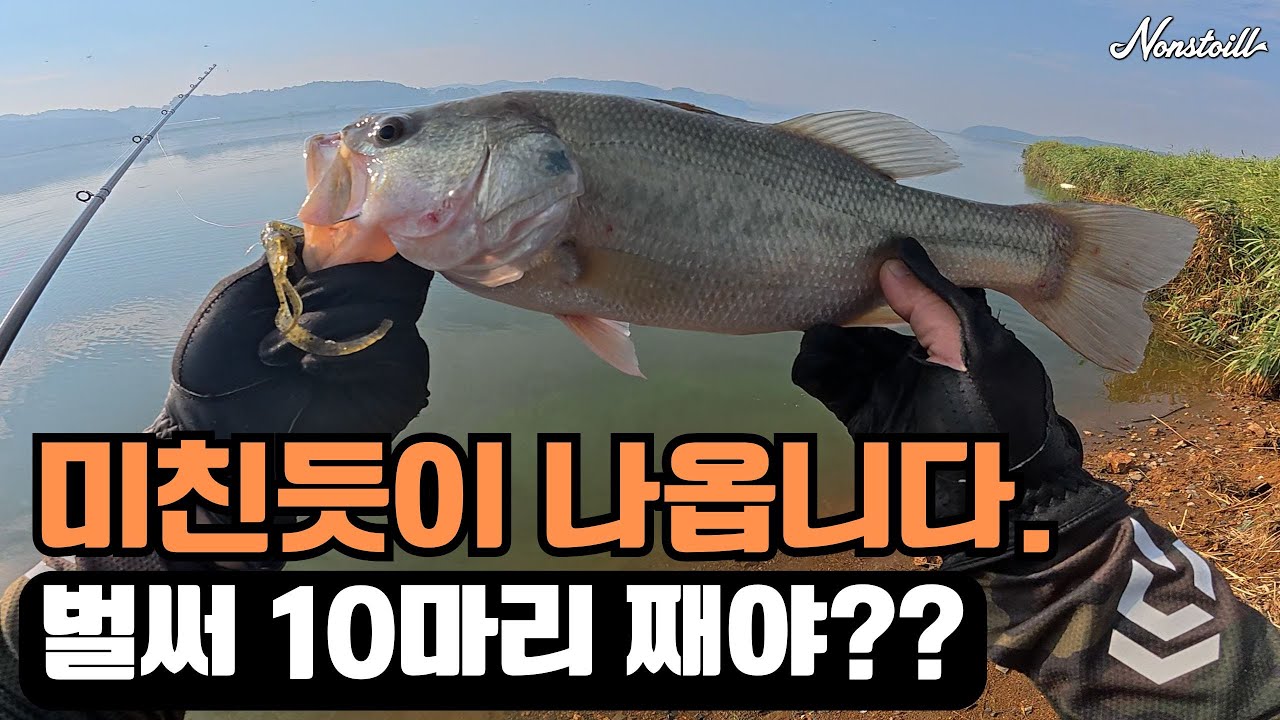 입질이 멈추질 않는다! 입질 폭발 포인트 공개!!