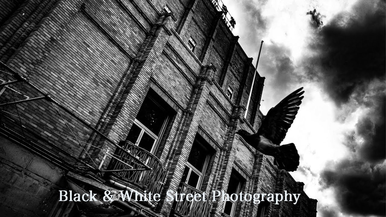 Hibiya Park / Black and White Street photography in Tokyo,Japan