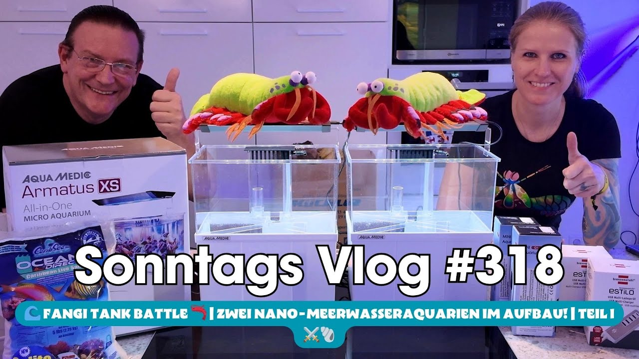 💦Der Sonntags Vlog #318🌊 FANGI TANK BATTLE 🦐 | Zwei Micro-Meerwasseraquarien im Aufbau! | Teil 1 ⚔️🐚