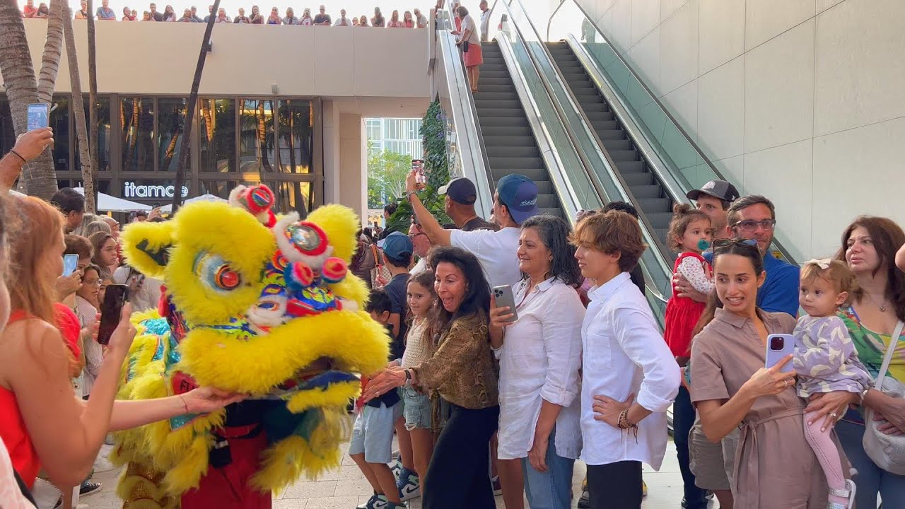Lunar New Year 2023 in Miami Design District w/ Lion Dancing
