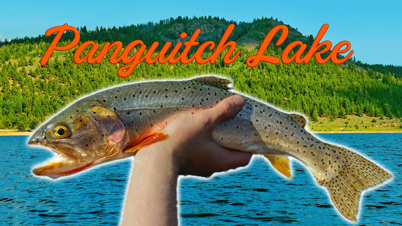 48 Hour Summer FISHING at PANGUITCH LAKE for BIG TROUT (FIRST TIME)