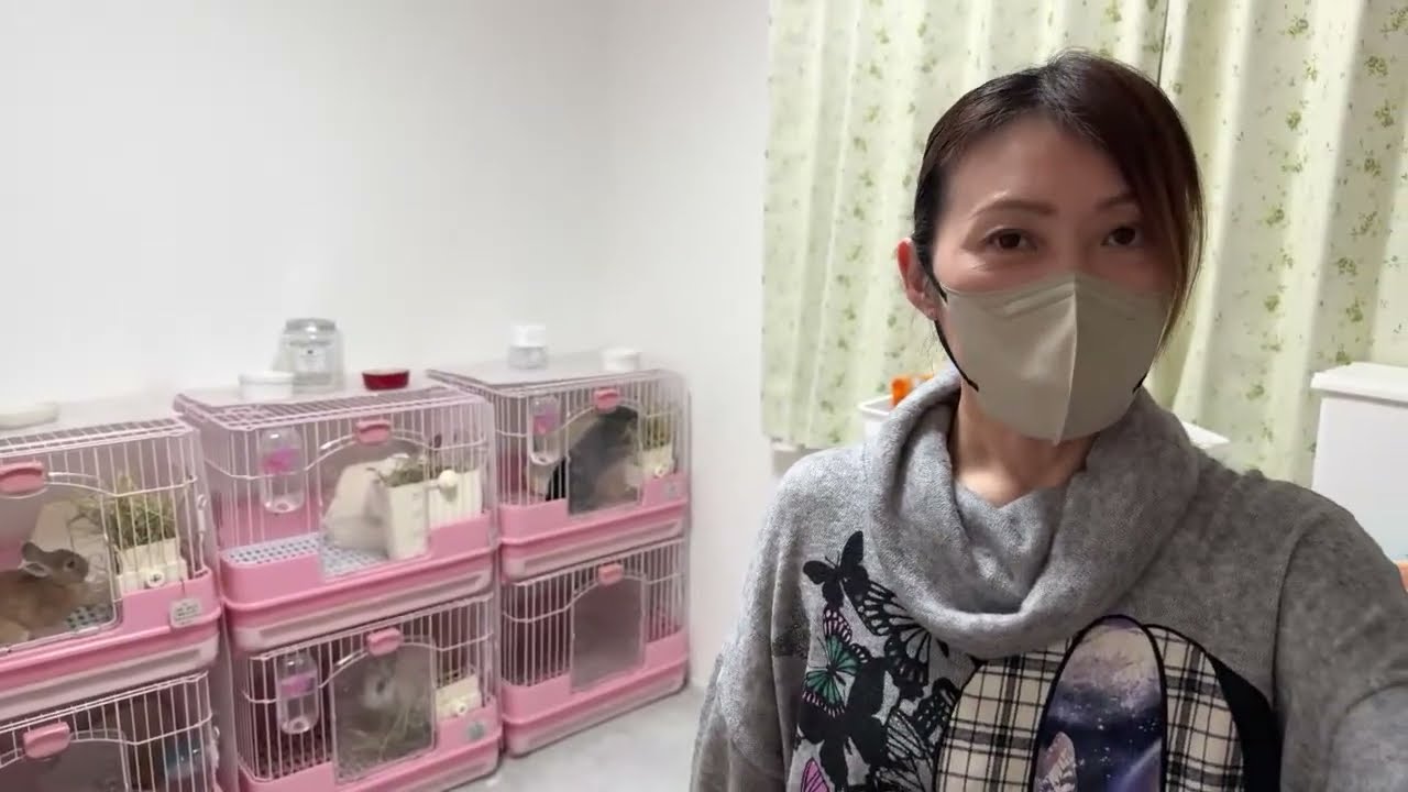 ★預かりさん宅から✨保護うさぎさん紹介します🐰★