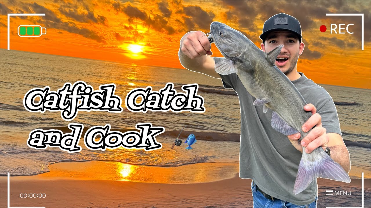GIANT CATFISH - Catch and Cook - SOLO fishing mission!