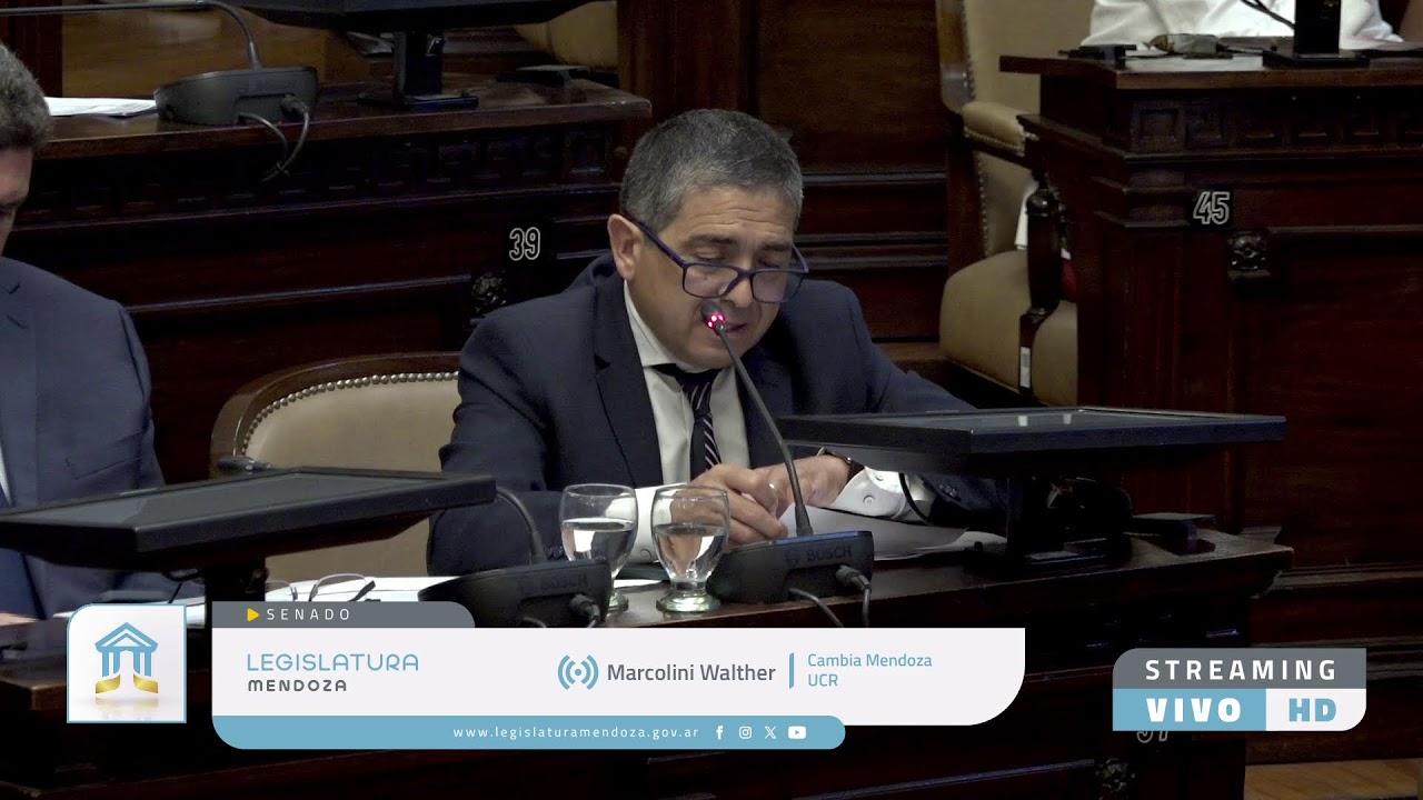 Honorable Cámara de Senadores: sesión de tablas 03/02/2026