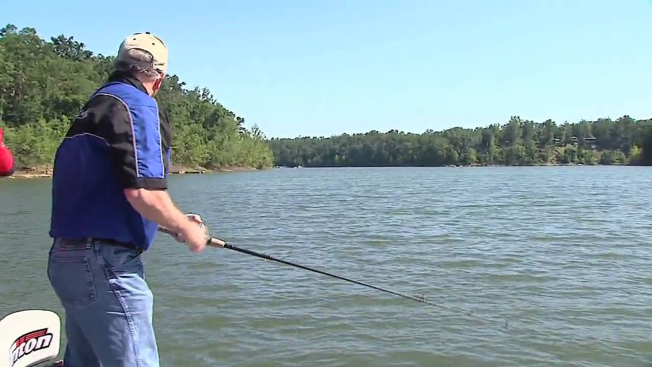 Catching hybrids at Rough River Lake